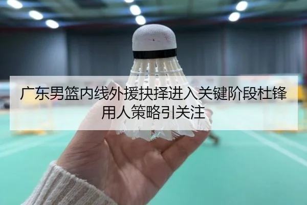 广东男篮内线外援抉择进入关键阶段杜锋用人策略引关注
